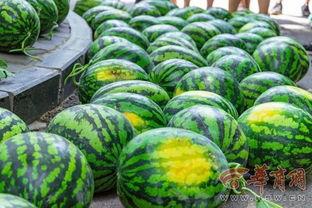 吃瓜安徽大学,揭秘校园生活新现象