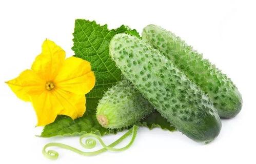 吃瓜系统苏淼淼,揭秘吃瓜系统背后的神秘力量