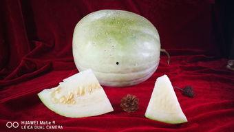 三白瓜热吃,冬日暖胃养生新选择