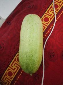 丫吖吃瓜,揭秘娱乐圈那些不为人知的幕后故事